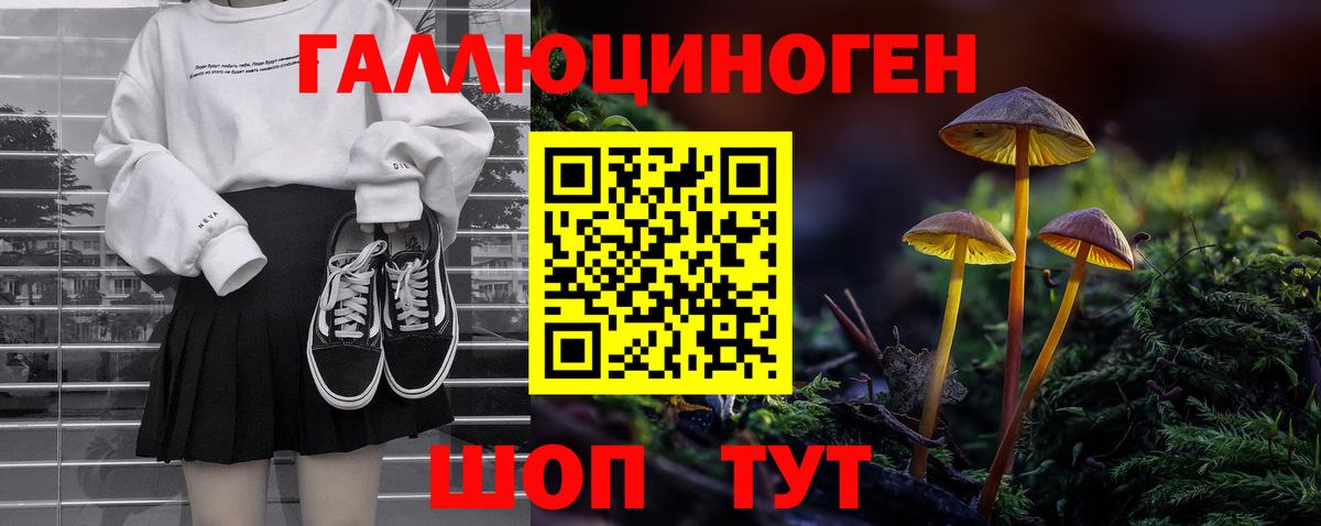 Псилоцибиновые грибы Cubensis Богородицк